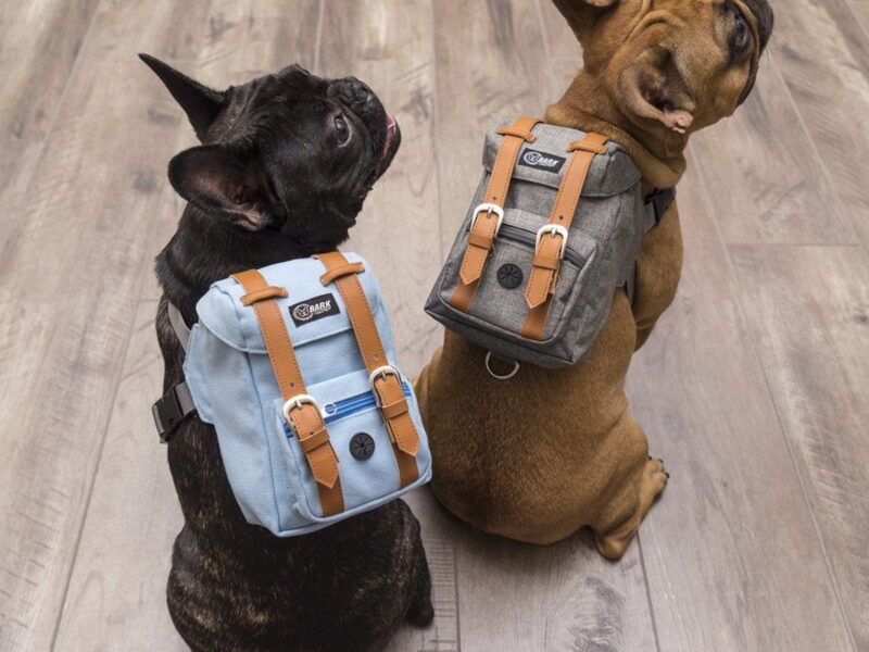 Nombres de perros graciosos