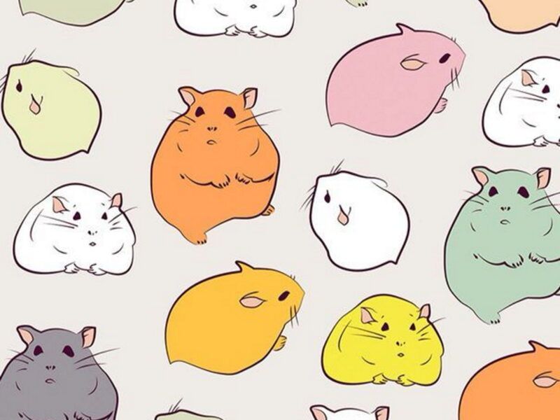 Nombres para cobayas