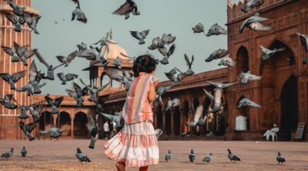 Cómo ahuyentar Palomas | 7 maneras infalibles para ahuyentarlas