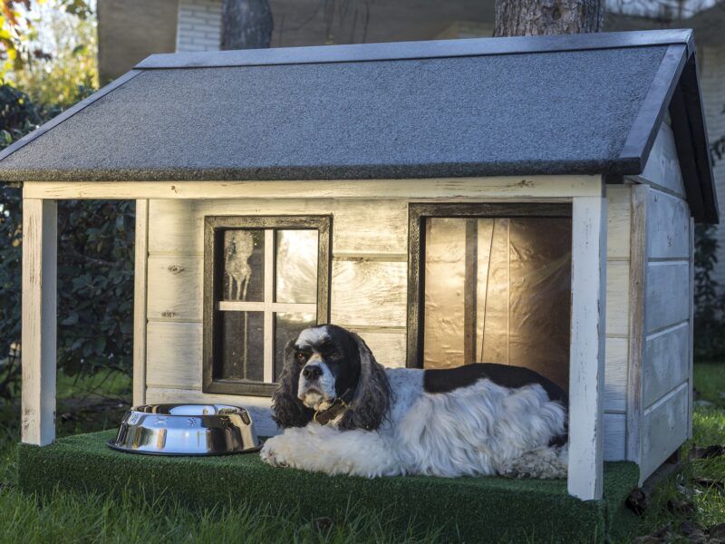 Cómo hacer una casa para perro
