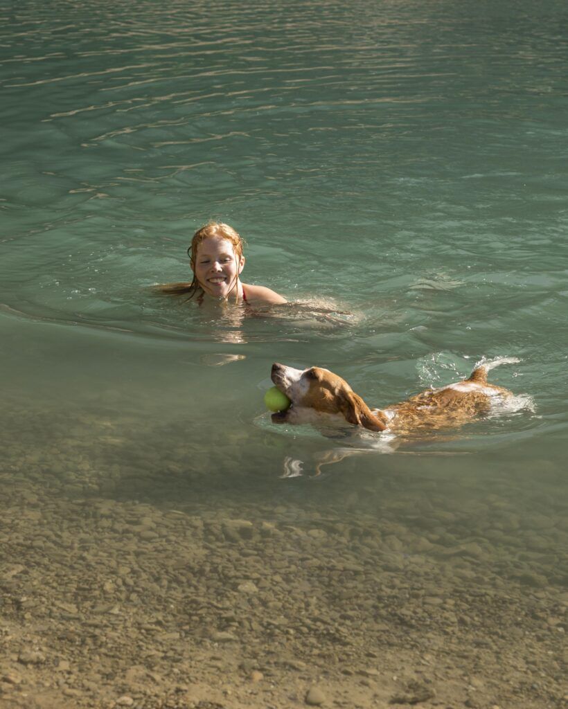 Perro nadando y jugando en el agua