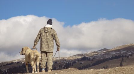 Sitios en la sierra de Madrid para ir con perros
