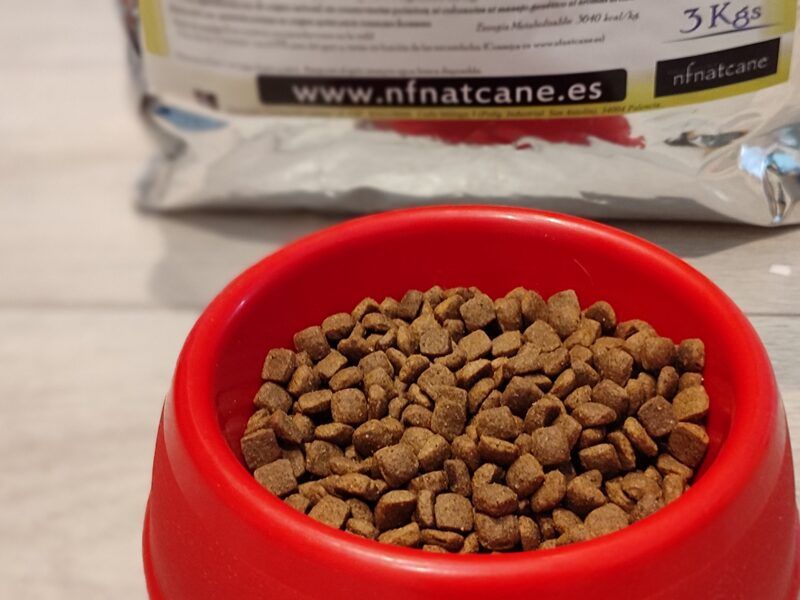 El mejor pienso natural para gatos: Cats Health Gourmet de NFNatcane